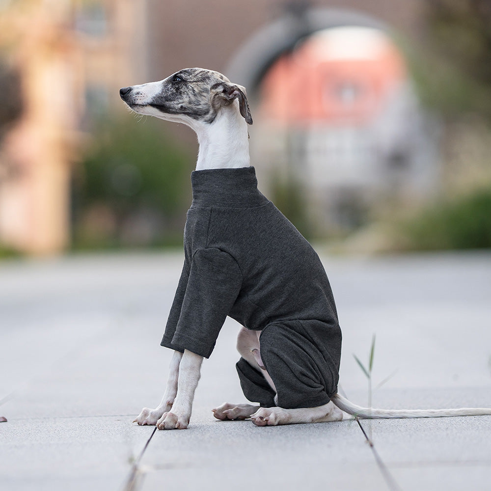 Jumpsuit Cotton, Grey