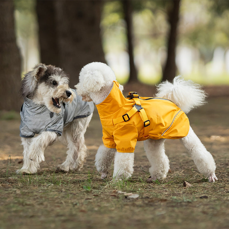 Raincoat Harness, Yellow