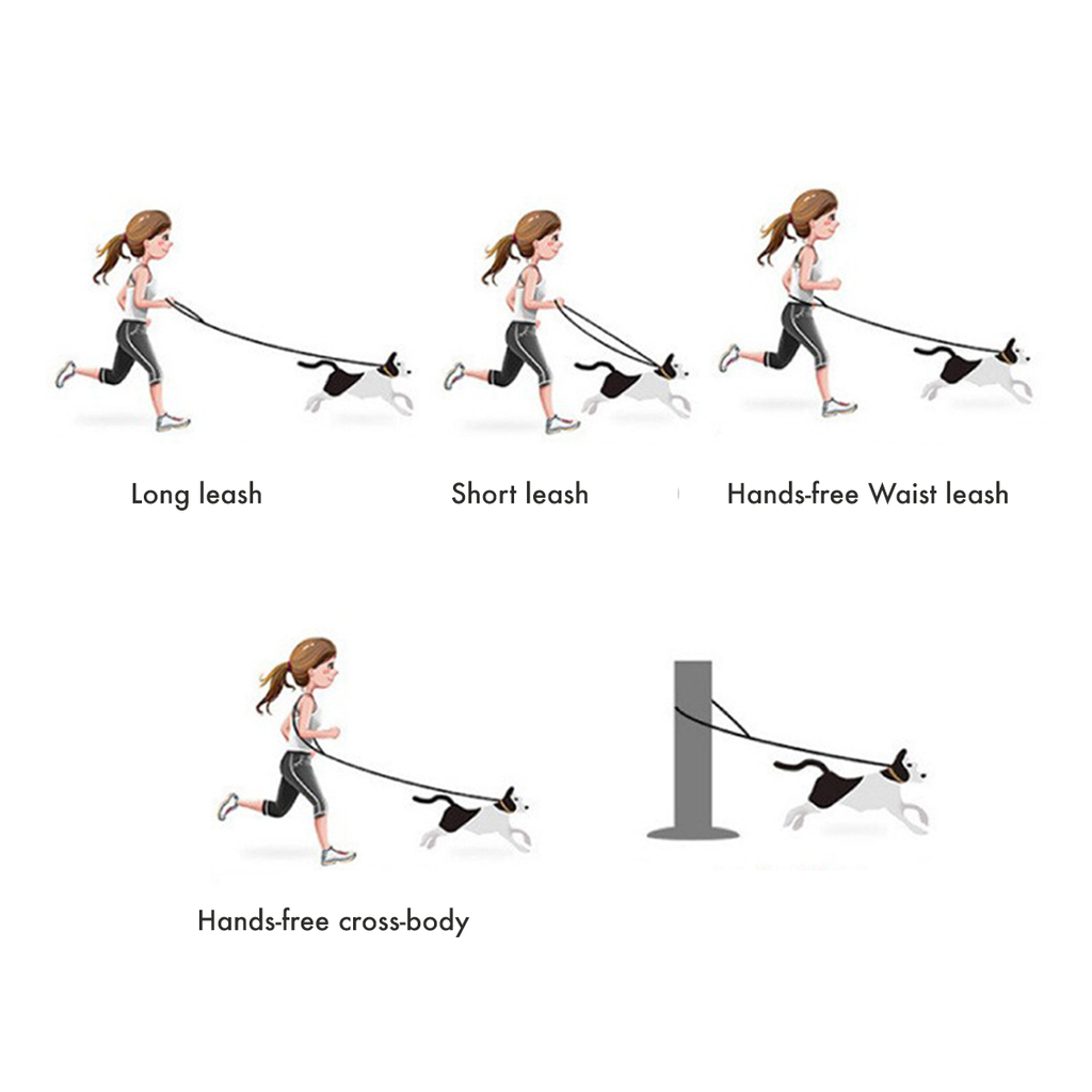 Leash Hands Free