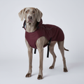 Burgundy raincoat front - hood down