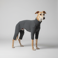 Dark grey greyhound outfit three-quarter