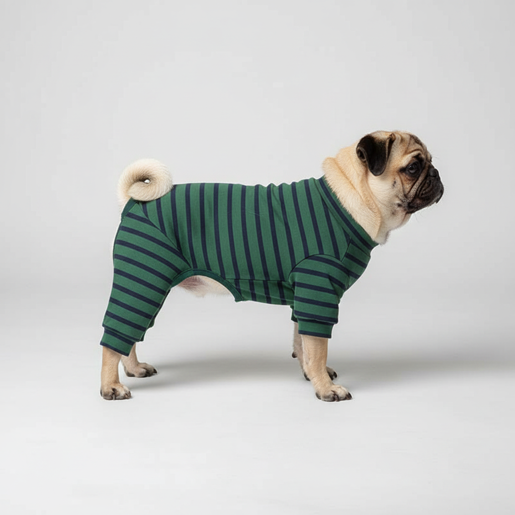 Green striped pajamas pug side