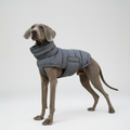 Weimaraner in Grey Puffer Vest – Improved Tail